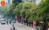 [ẢNH] Hà Nội nồng nàn hương hoa sữa